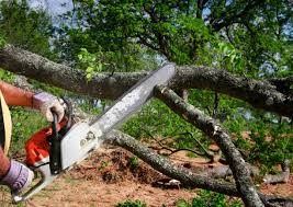 Best Commercial Tree Services  in Sulligent, AL